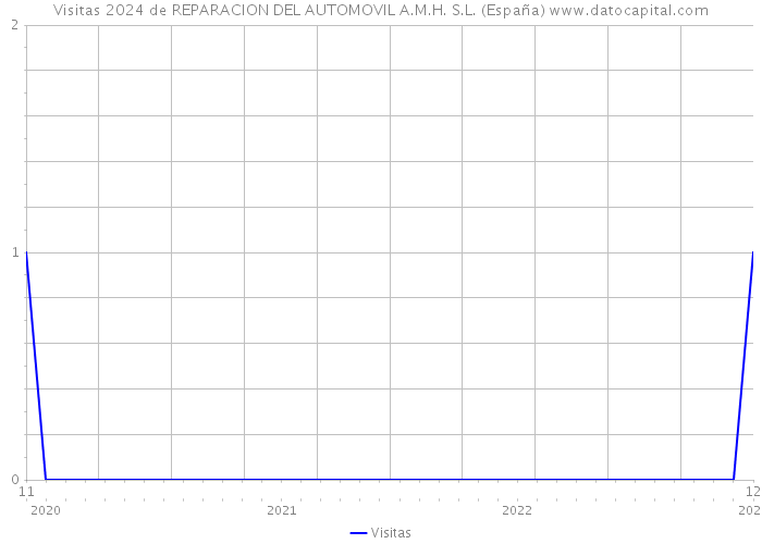 Visitas 2024 de REPARACION DEL AUTOMOVIL A.M.H. S.L. (España) 