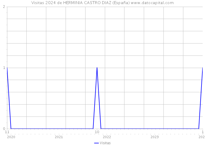 Visitas 2024 de HERMINIA CASTRO DIAZ (España) 