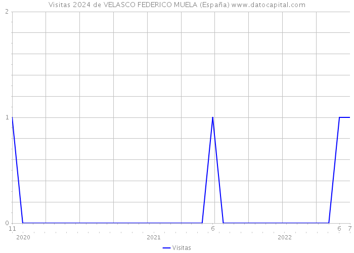Visitas 2024 de VELASCO FEDERICO MUELA (España) 