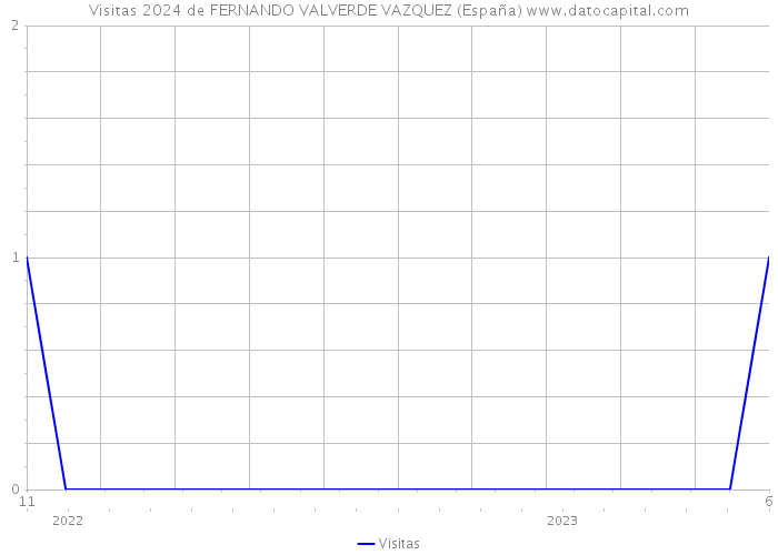 Visitas 2024 de FERNANDO VALVERDE VAZQUEZ (España) 