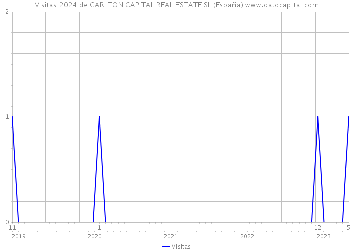 Visitas 2024 de CARLTON CAPITAL REAL ESTATE SL (España) 