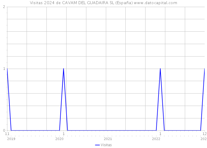 Visitas 2024 de CAVAM DEL GUADAIRA SL (España) 