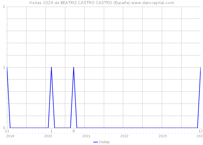 Visitas 2024 de BEATRIZ CASTRO CASTRO (España) 