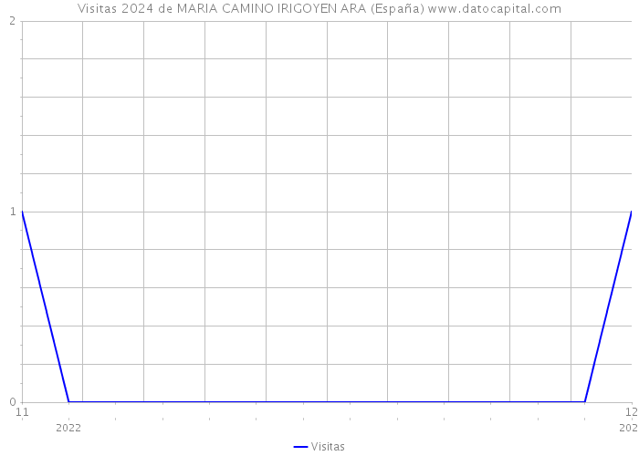 Visitas 2024 de MARIA CAMINO IRIGOYEN ARA (España) 
