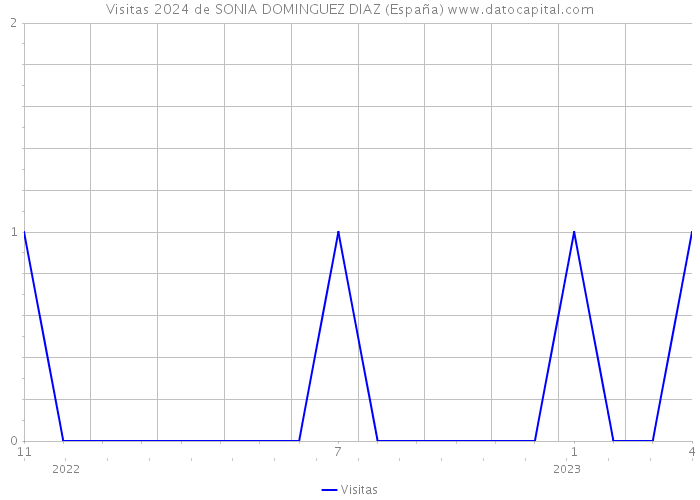 Visitas 2024 de SONIA DOMINGUEZ DIAZ (España) 