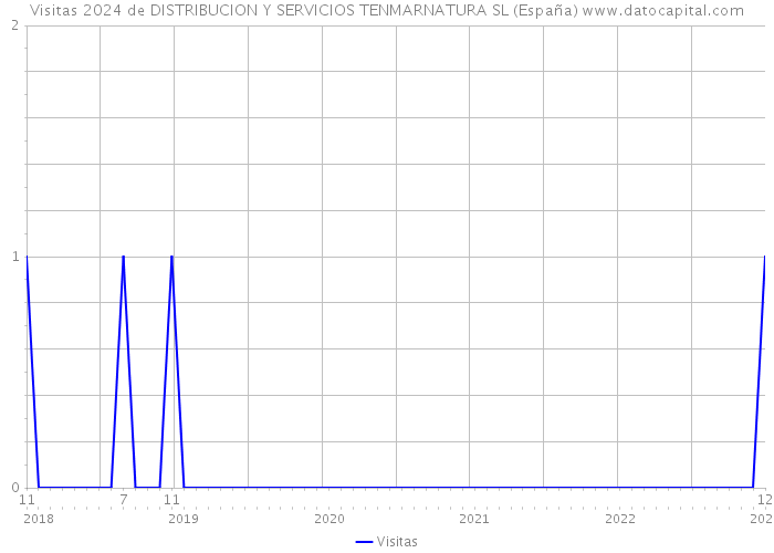 Visitas 2024 de DISTRIBUCION Y SERVICIOS TENMARNATURA SL (España) 