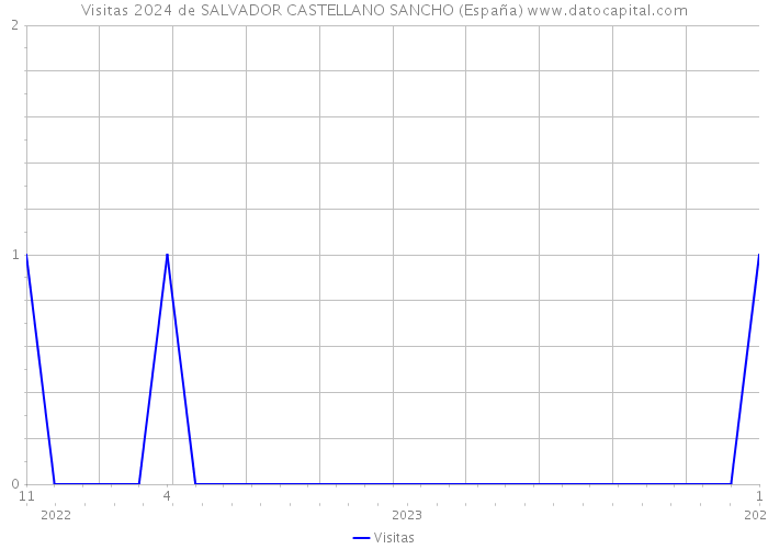 Visitas 2024 de SALVADOR CASTELLANO SANCHO (España) 