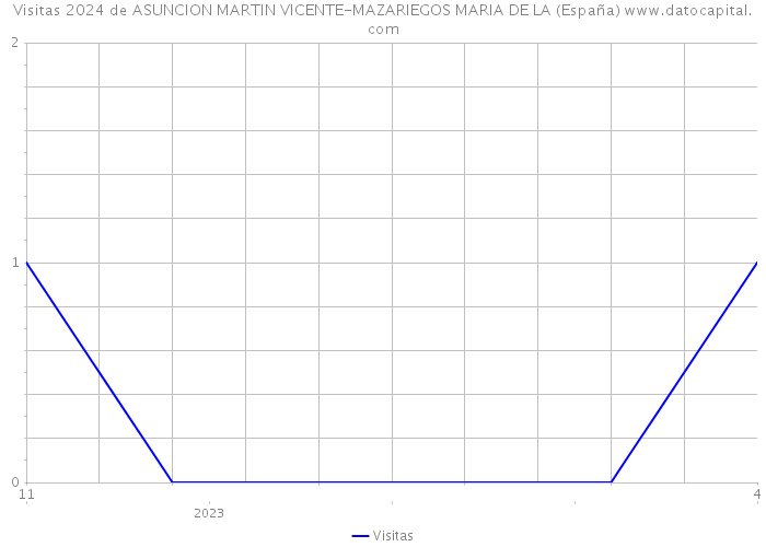 Visitas 2024 de ASUNCION MARTIN VICENTE-MAZARIEGOS MARIA DE LA (España) 