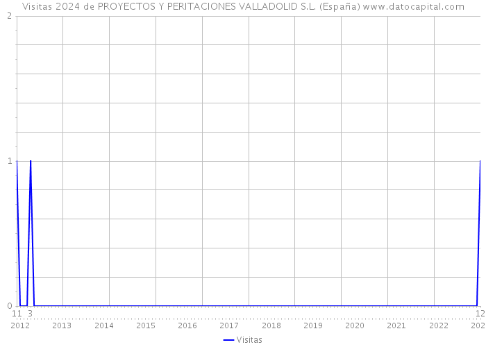 Visitas 2024 de PROYECTOS Y PERITACIONES VALLADOLID S.L. (España) 