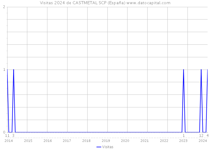Visitas 2024 de CASTMETAL SCP (España) 