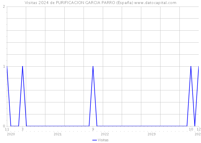 Visitas 2024 de PURIFICACION GARCIA PARRO (España) 