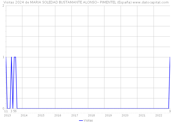 Visitas 2024 de MARIA SOLEDAD BUSTAMANTE ALONSO- PIMENTEL (España) 
