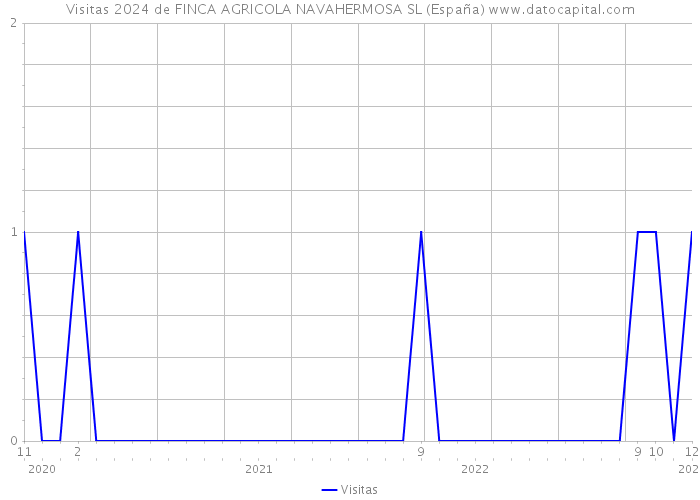 Visitas 2024 de FINCA AGRICOLA NAVAHERMOSA SL (España) 