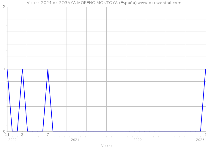 Visitas 2024 de SORAYA MORENO MONTOYA (España) 