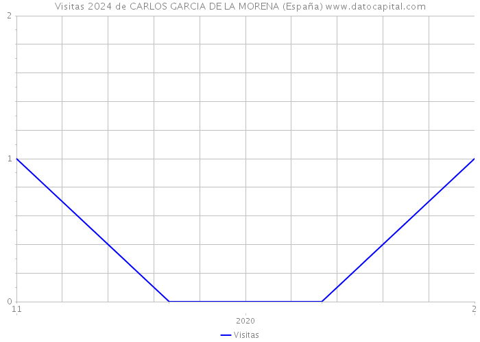 Visitas 2024 de CARLOS GARCIA DE LA MORENA (España) 