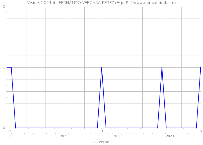 Visitas 2024 de FERNANDO VERGARA PEREZ (España) 