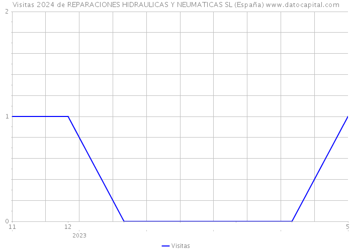 Visitas 2024 de REPARACIONES HIDRAULICAS Y NEUMATICAS SL (España) 