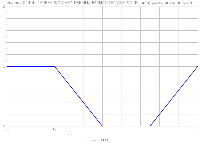 Visitas 2024 de TERESA SANCHEZ TEJERINA FERNANDEZ VICARIO (España) 
