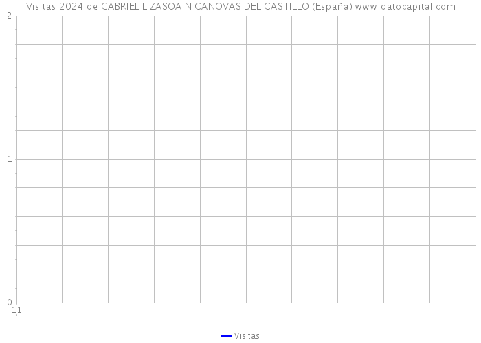 Visitas 2024 de GABRIEL LIZASOAIN CANOVAS DEL CASTILLO (España) 