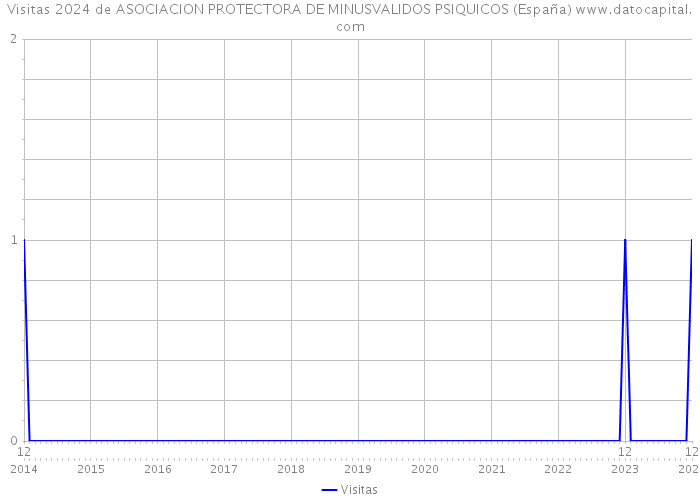 Visitas 2024 de ASOCIACION PROTECTORA DE MINUSVALIDOS PSIQUICOS (España) 