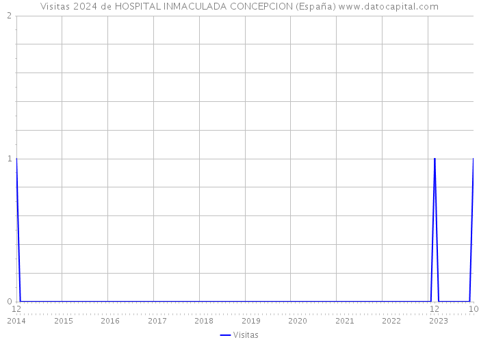 Visitas 2024 de HOSPITAL INMACULADA CONCEPCION (España) 