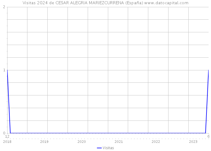 Visitas 2024 de CESAR ALEGRIA MARIEZCURRENA (España) 