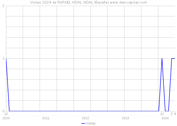 Visitas 2024 de RAFAEL VIDAL VIDAL (España) 