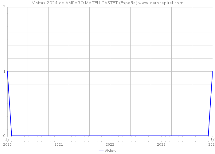 Visitas 2024 de AMPARO MATEU CASTET (España) 