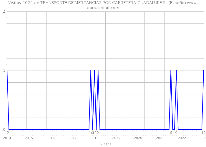 Visitas 2024 de TRANSPORTE DE MERCANCIAS POR CARRETERA GUADALUPE SL (España) 
