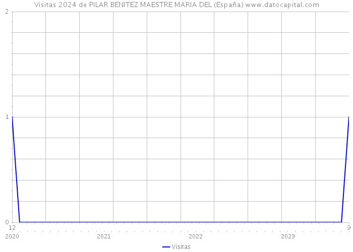 Visitas 2024 de PILAR BENITEZ MAESTRE MARIA DEL (España) 