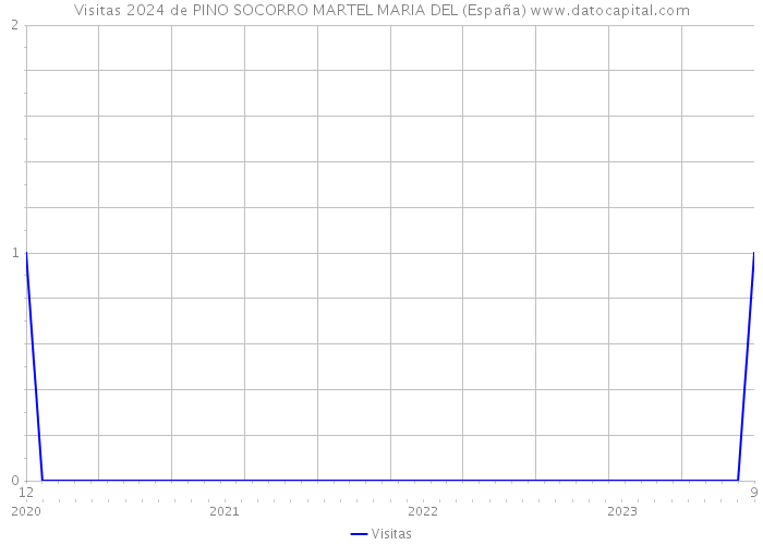 Visitas 2024 de PINO SOCORRO MARTEL MARIA DEL (España) 