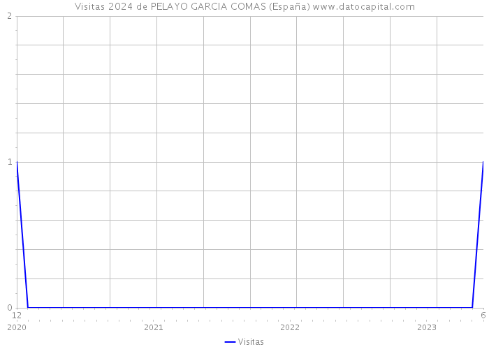 Visitas 2024 de PELAYO GARCIA COMAS (España) 