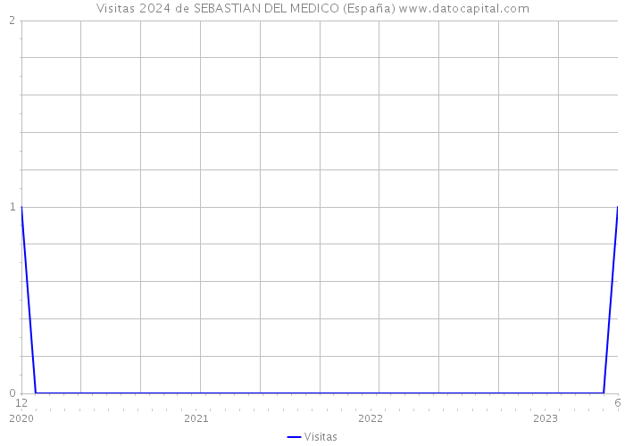 Visitas 2024 de SEBASTIAN DEL MEDICO (España) 