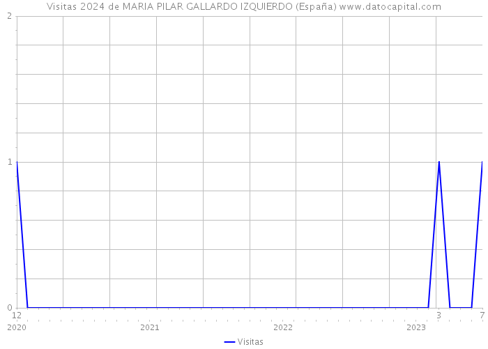 Visitas 2024 de MARIA PILAR GALLARDO IZQUIERDO (España) 