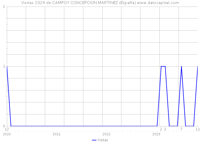 Visitas 2024 de CAMPOY CONCEPCION MARTINEZ (España) 