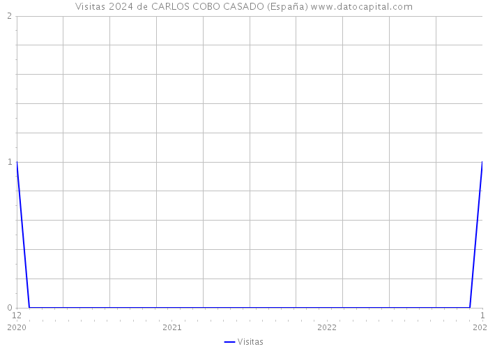 Visitas 2024 de CARLOS COBO CASADO (España) 