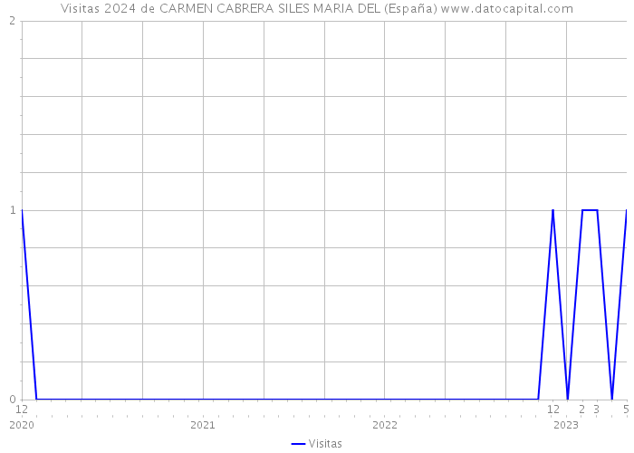 Visitas 2024 de CARMEN CABRERA SILES MARIA DEL (España) 