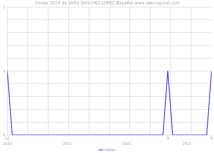 Visitas 2024 de SARA SANCHEZ LOPEZ (España) 