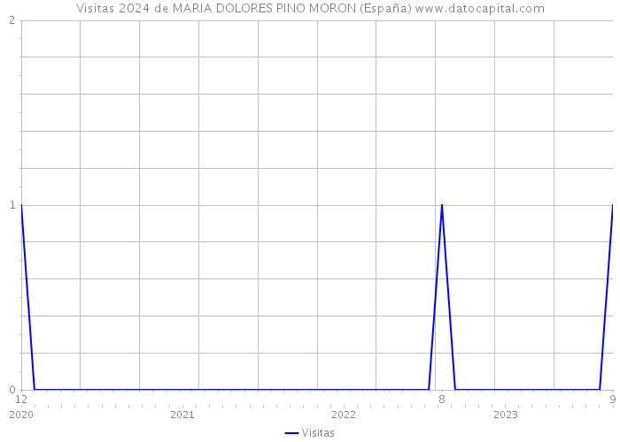 Visitas 2024 de MARIA DOLORES PINO MORON (España) 