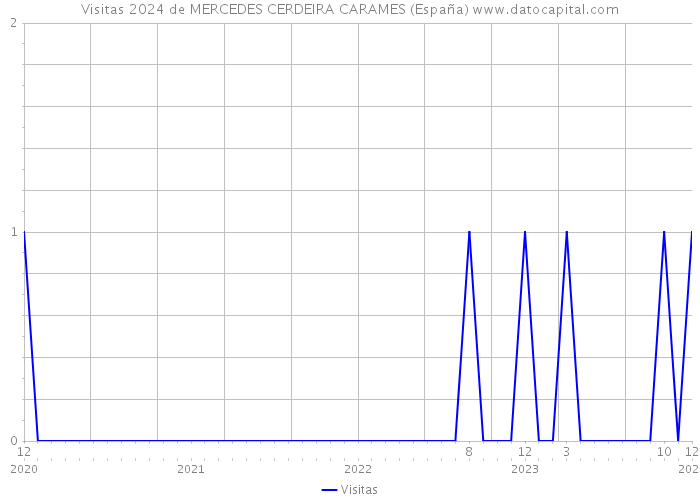 Visitas 2024 de MERCEDES CERDEIRA CARAMES (España) 