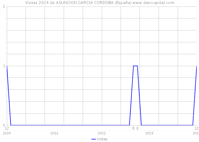 Visitas 2024 de ASUNCION GARCIA CORDOBA (España) 
