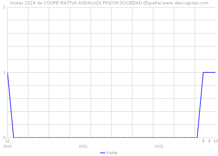 Visitas 2024 de COOPE-RATIVA ANDALUZA PINZON SOCIEDAD (España) 