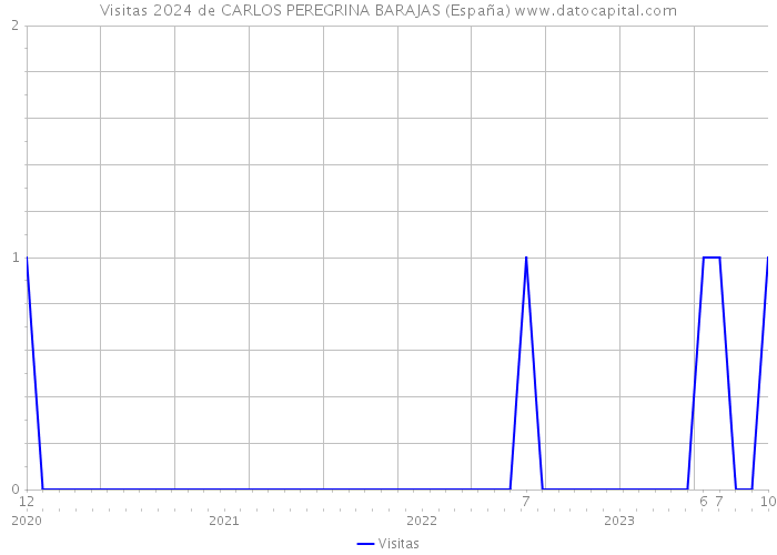 Visitas 2024 de CARLOS PEREGRINA BARAJAS (España) 