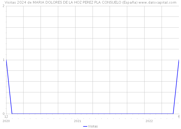 Visitas 2024 de MARIA DOLORES DE LA HOZ PEREZ PLA CONSUELO (España) 