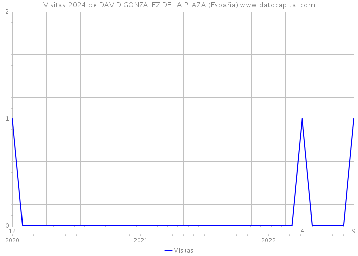 Visitas 2024 de DAVID GONZALEZ DE LA PLAZA (España) 