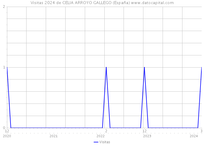 Visitas 2024 de CELIA ARROYO GALLEGO (España) 