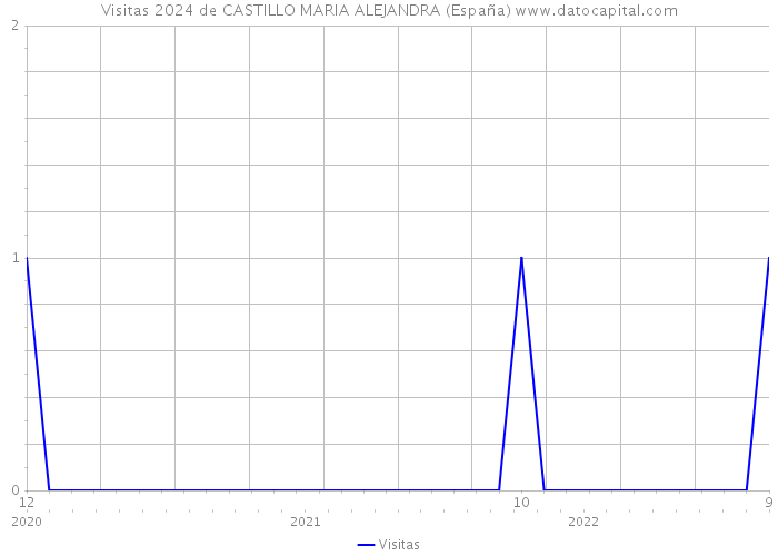Visitas 2024 de CASTILLO MARIA ALEJANDRA (España) 
