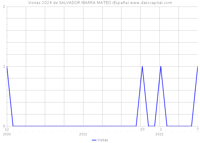 Visitas 2024 de SALVADOR IBARRA MATEO (España) 