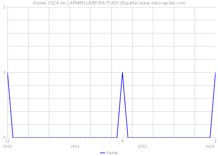 Visitas 2024 de CARMEN LAPEYRA TUDO (España) 