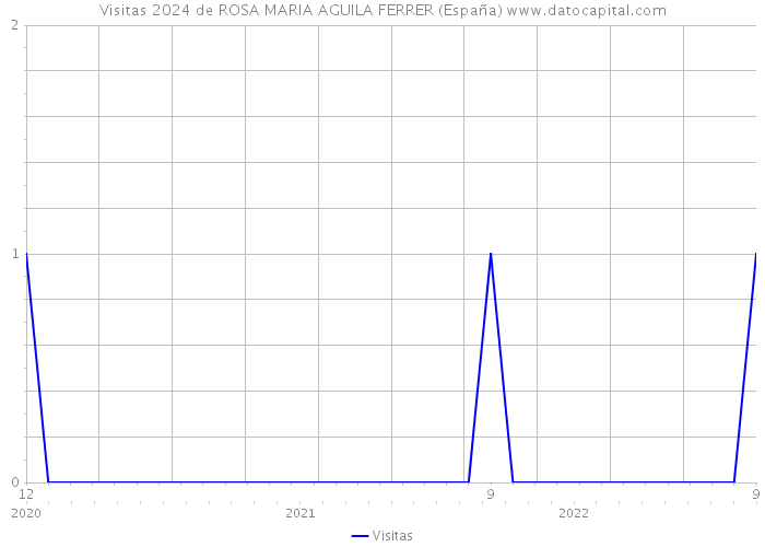 Visitas 2024 de ROSA MARIA AGUILA FERRER (España) 